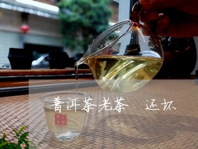 普洱茶老茶 还坏/2023041174049